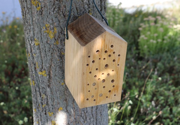 Bienenstock